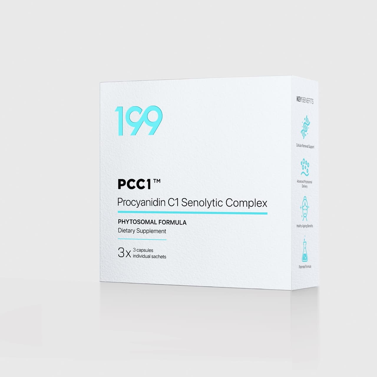 199 PCC1 Supplement