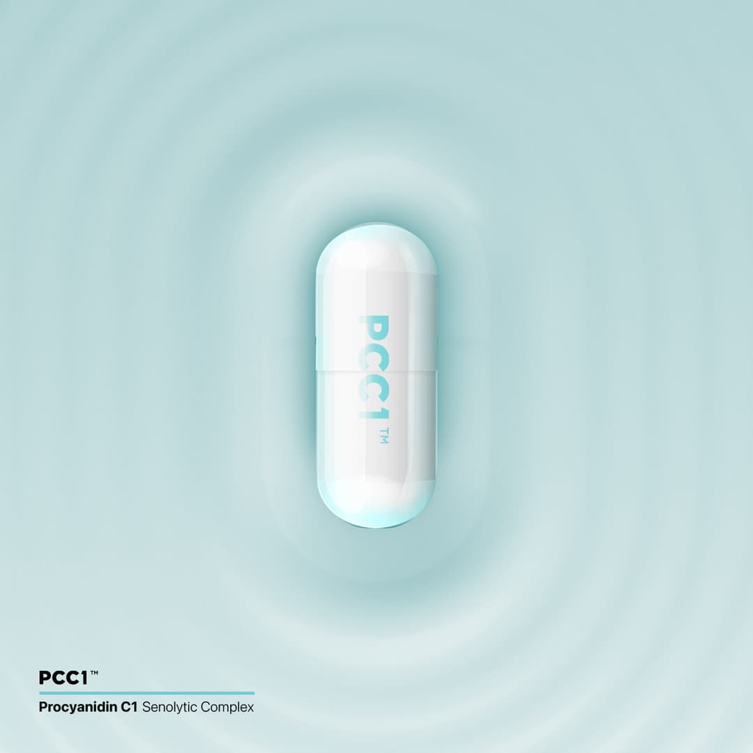 PCC1™ Procyanidin Complex Capsule - C1, B2, Epicatechin Blend